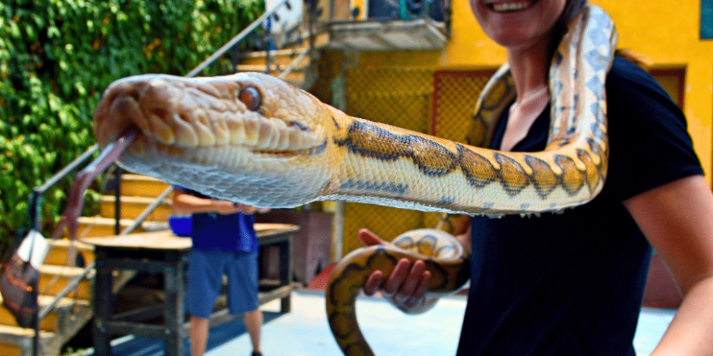 guatamala-tropical-wildlife-rescue-cente-18