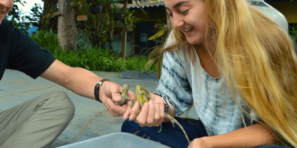 guatamala-tropical-wildlife-rescue-cente-19