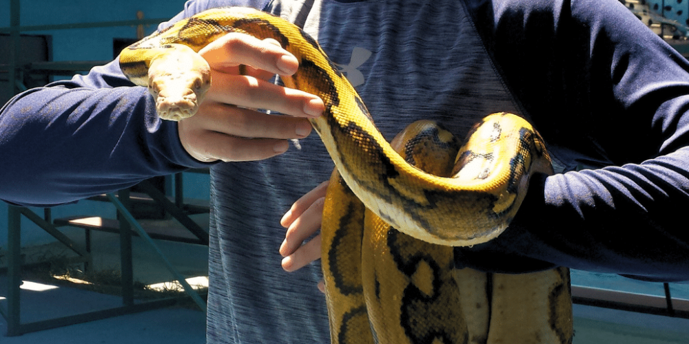 guatamala-tropical-wildlife-rescue-cente-21