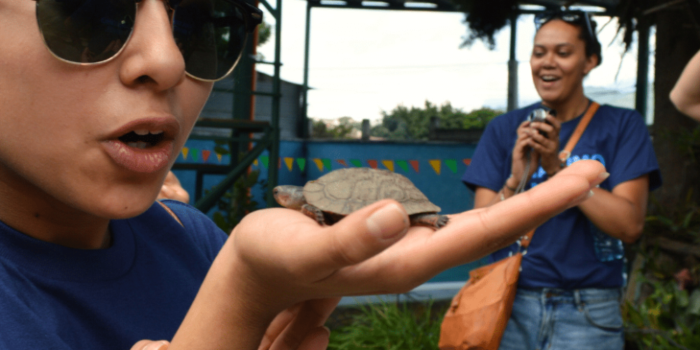 guatamala-tropical-wildlife-rescue-cente-26