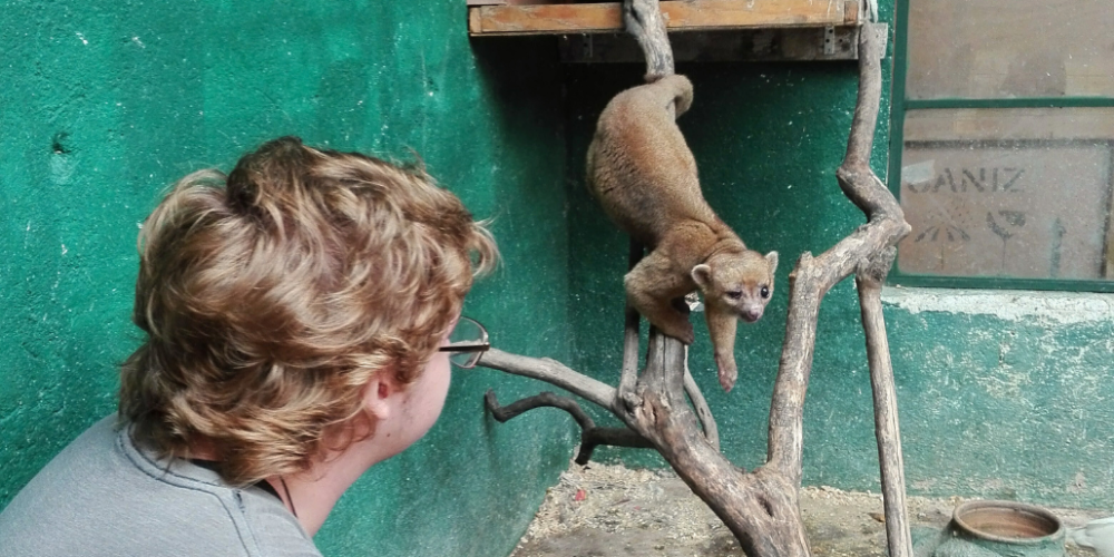 guatamala-tropical-wildlife-rescue-cente-32