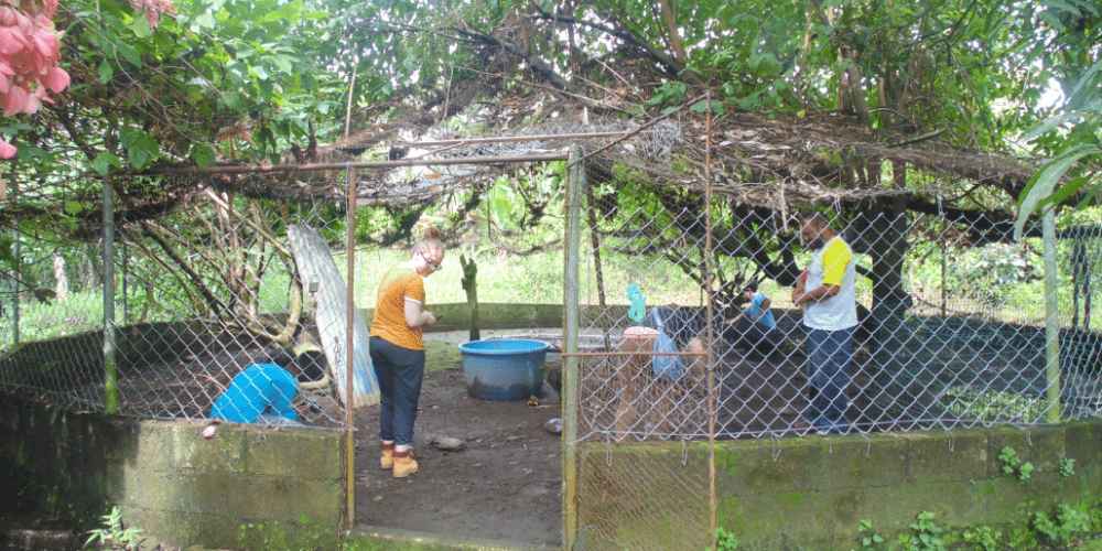 guatamala-tropical-wildlife-rescue-cente-7