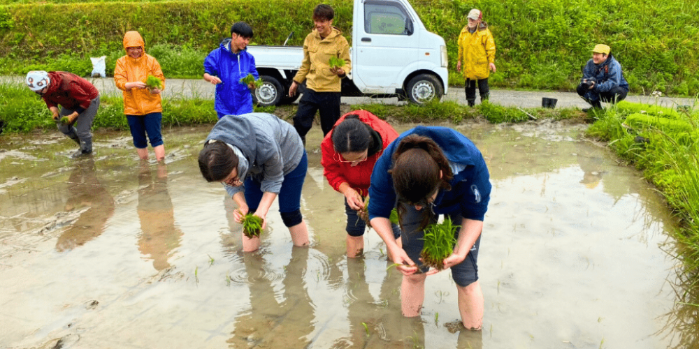 japan-wildlife-conservation-and-cultural-immersion-jan-2025-4