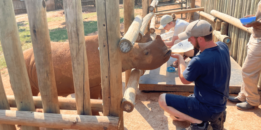 south-africa-rhino-orphan-sanctuary-new2025-1