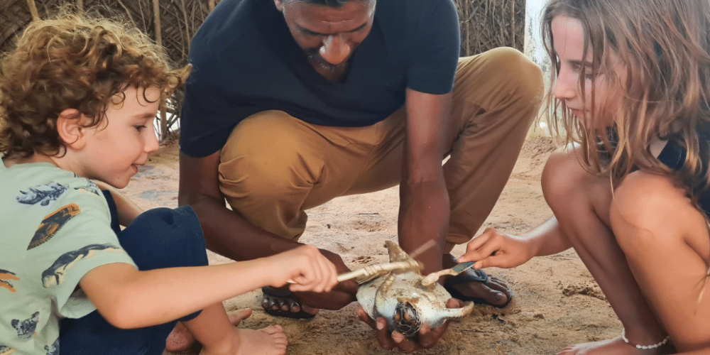 sri-lanka-family-turtle-new13