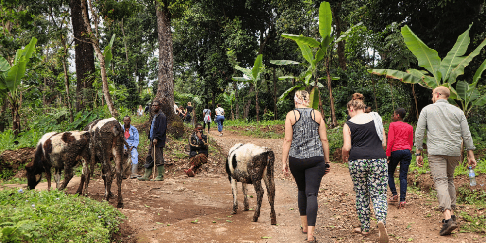 tanzania-kilimanjaro-reforestation-and-environmental-volunteer-program21