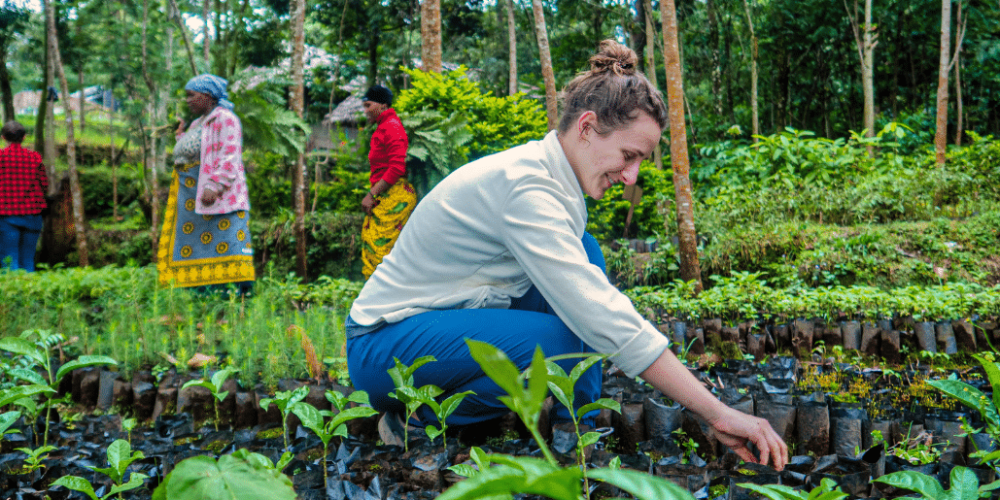 tanzania-kilimanjaro-reforestation-and-environmental-volunteer-program36