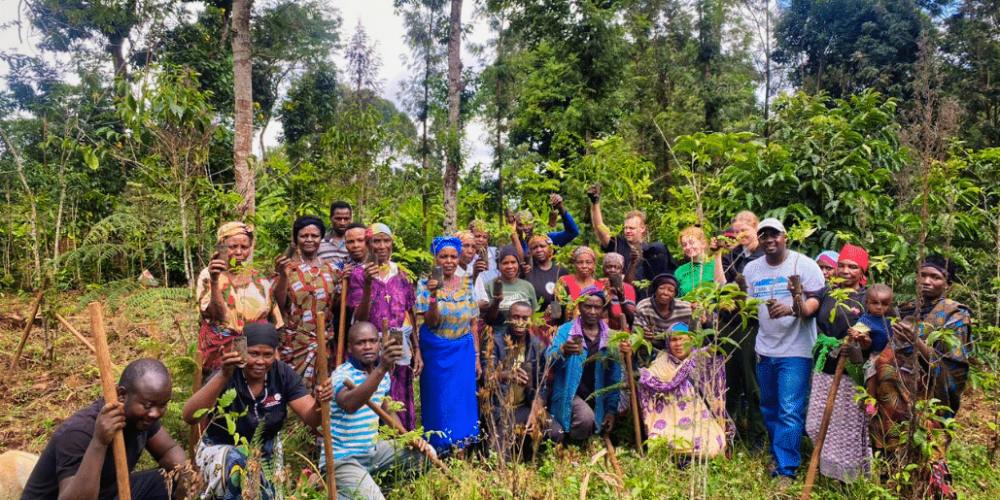 tanzania-kilimanjaro-reforestation-and-environmental-volunteer-program5